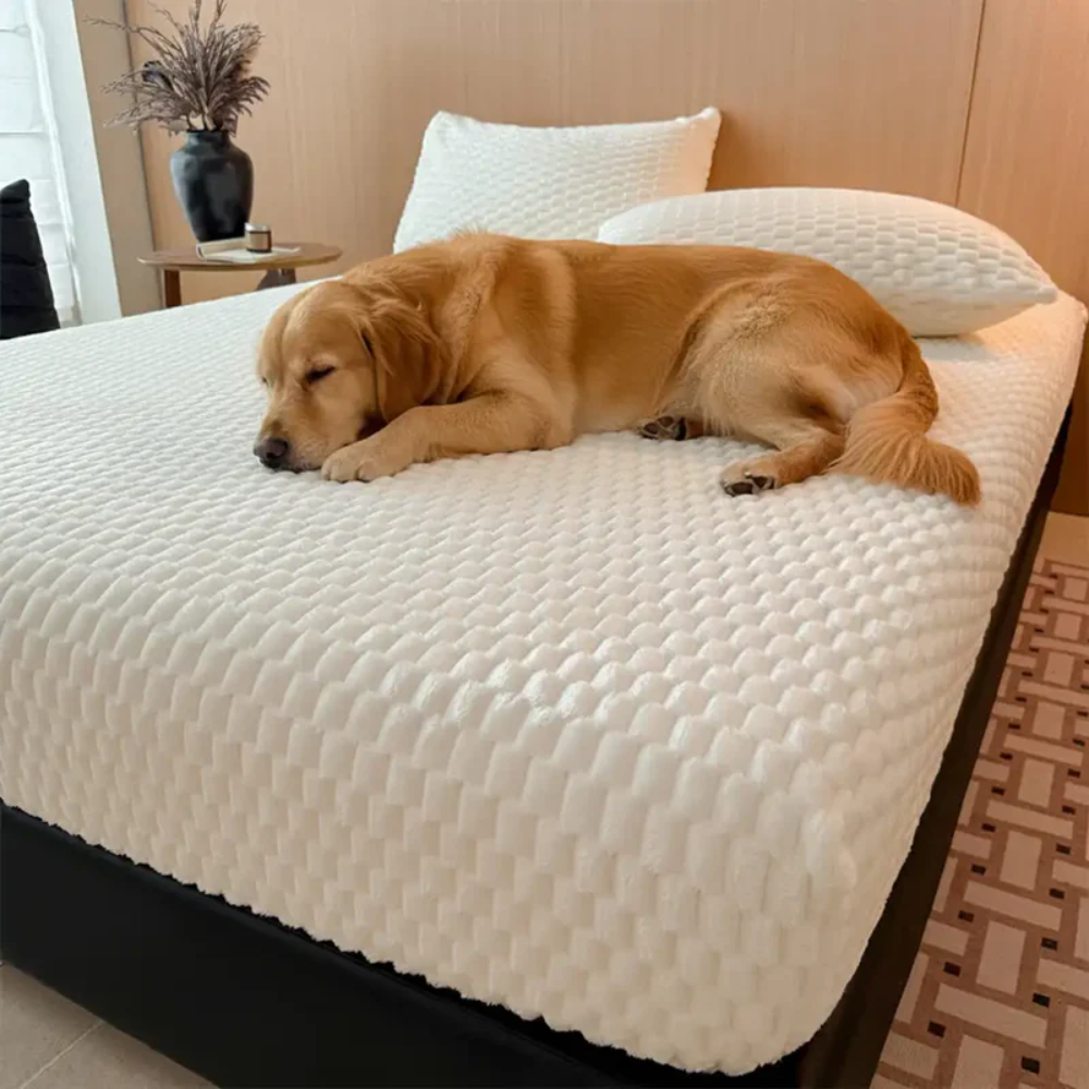 LuxeLoom™ Flauschiger, Hautfreundlicher Matratzenschoner & Spannbettlaken Set