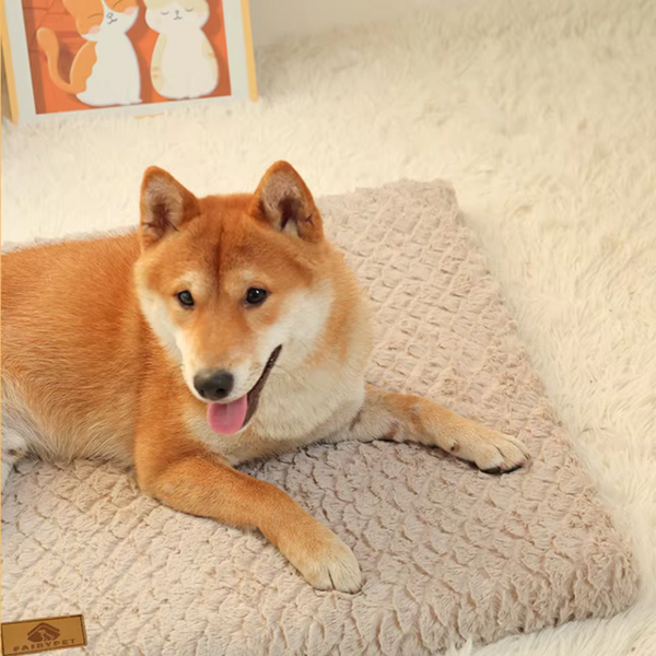 PAWRELLE™ Isomatte – Faltbare Haustiermatte mit Flauschbezug