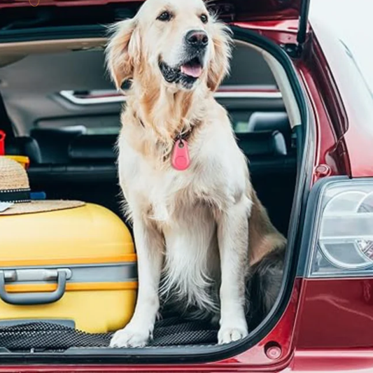 PawTracker™ Mini Bluetooth Ortungsgerät für Haustiere & Schlüssel