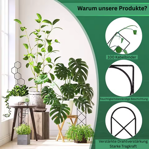 PlantGrid™ – Rankhilfe für Zimmer- & Balkonpflanzen