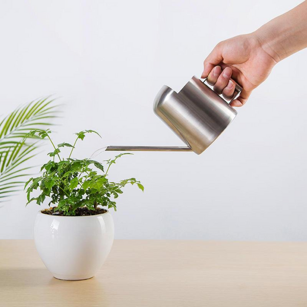 PlantPour™ Mini Gießkanne aus Edelstahl – Stilvolle 300 ml Kanne für Zimmerpflanzen & Balkon