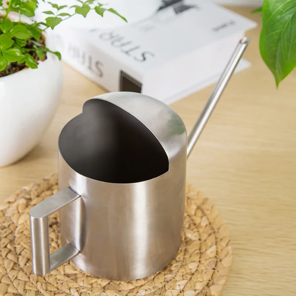 PlantPour™ Mini Gießkanne aus Edelstahl – Stilvolle 300 ml Kanne für Zimmerpflanzen & Balkon