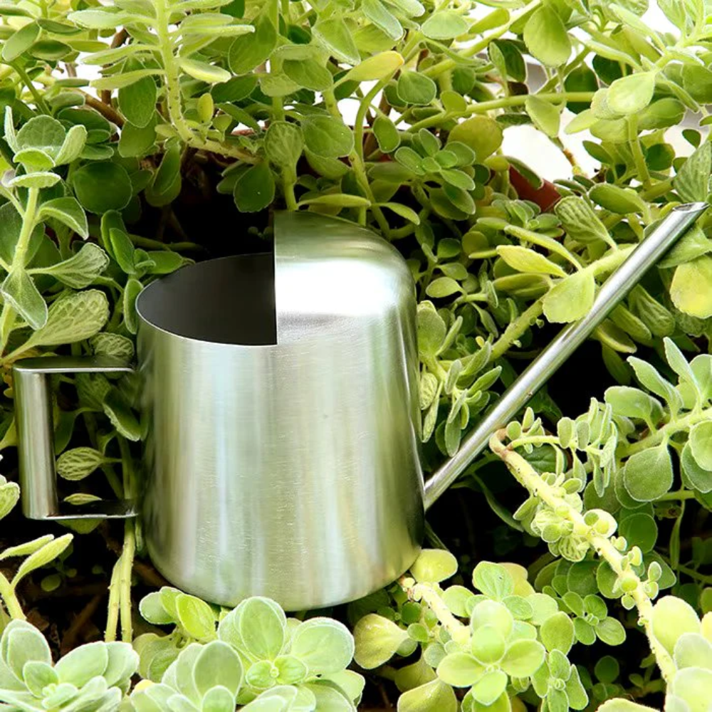PlantPour™ Mini Gießkanne aus Edelstahl – Stilvolle 300 ml Kanne für Zimmerpflanzen & Balkon