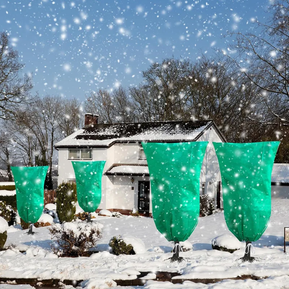 PlantSafe™ – Winterhauben für Pflanzen & Sträucher