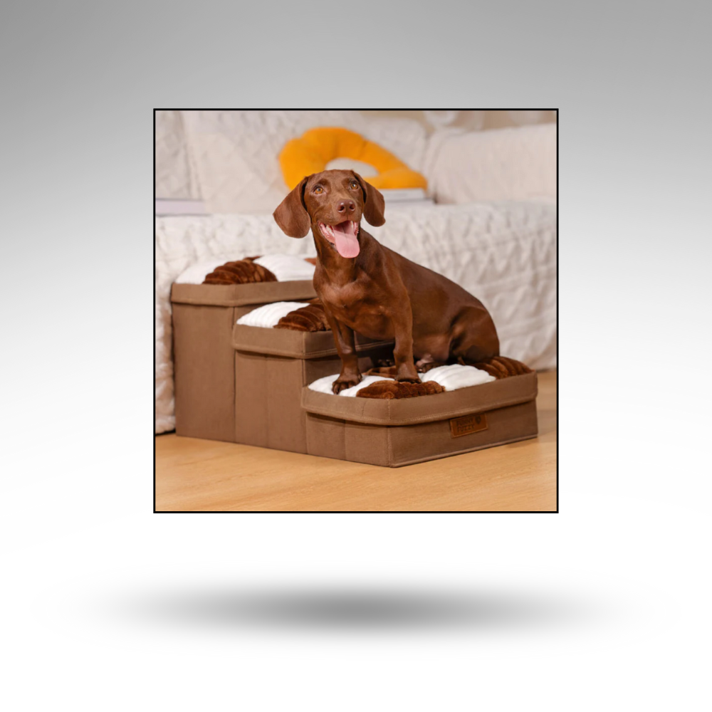 StashSteps™ Hunde-Treppe – Stauraum & Gelenkschutz
