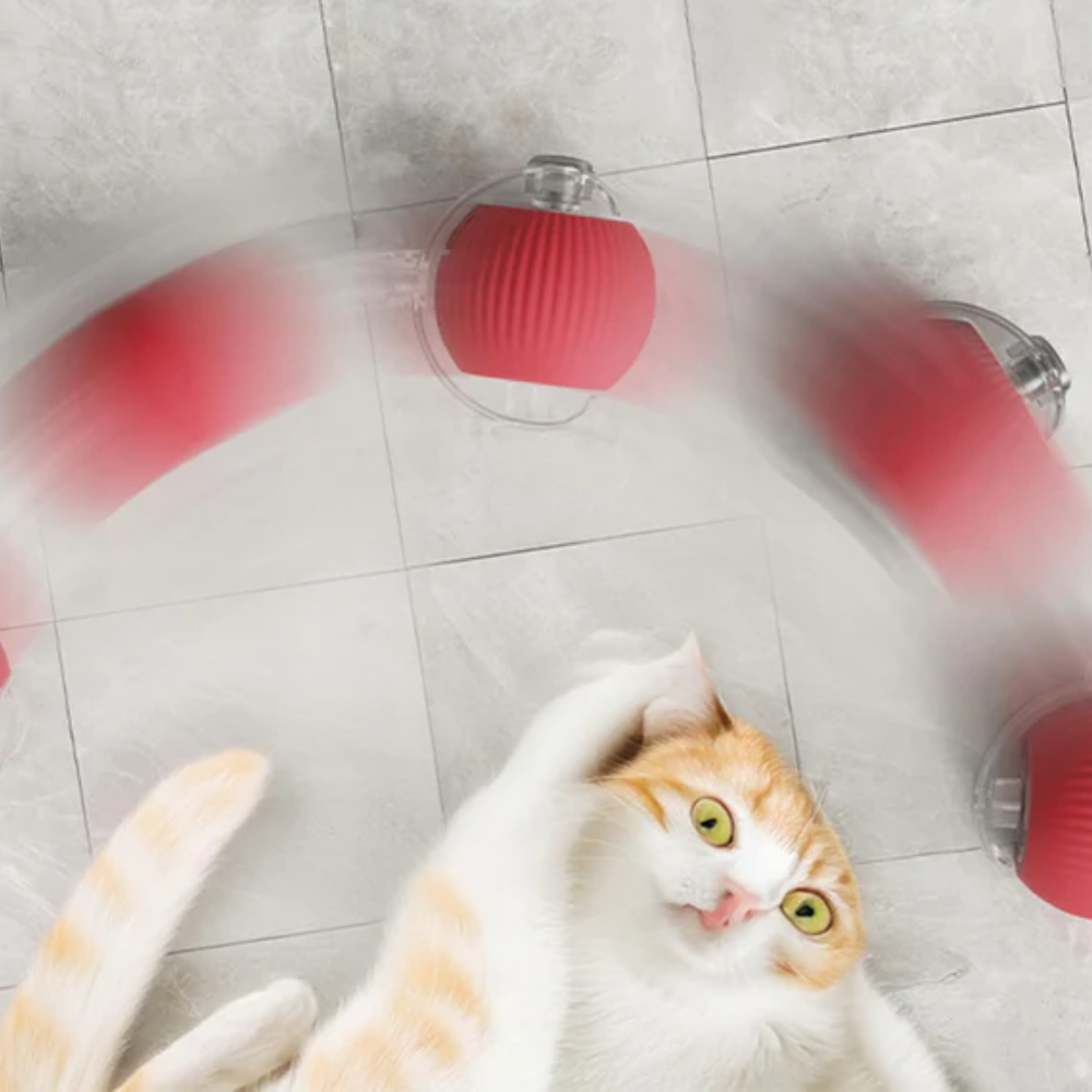 WiggleBuddy™ – Interaktive Spielball für Hunde & Katzen