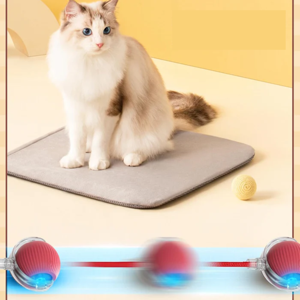 WiggleBuddy™ – Interaktive Spielball für Hunde & Katzen