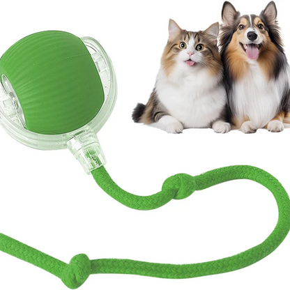 WiggleBuddy™ – Interaktive Spielball für Hunde & Katzen