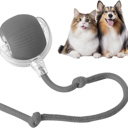 WiggleBuddy™ – Interaktive Spielball für Hunde & Katzen
