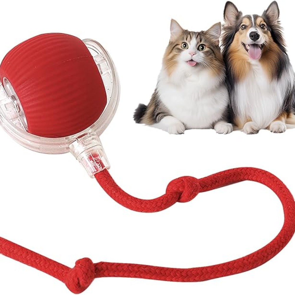 WiggleBuddy™ – Interaktive Spielball für Hunde & Katzen